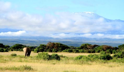 01KTAW-IM1001-tawi-lodge-1475