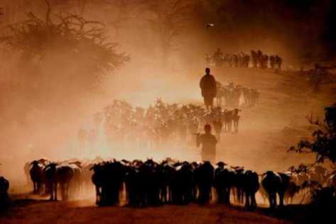 27034_10150167366945578_1663928_n