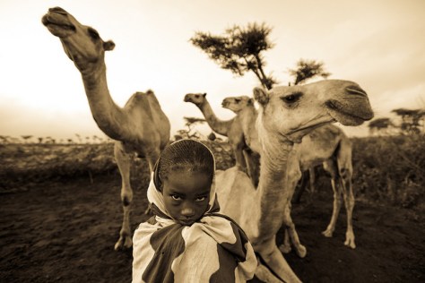 8293160987_c10f1c00b4_z