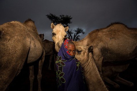 8350992166_a2b3035528_z