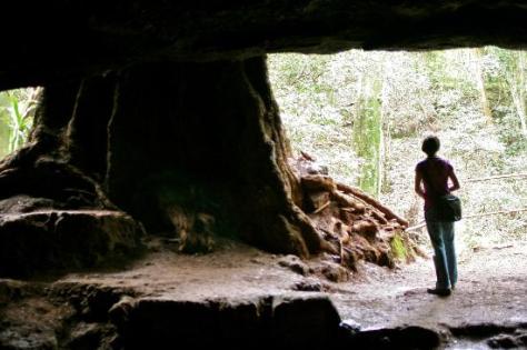 filename-img-1291-jpg