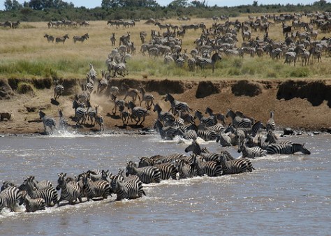 masaimara