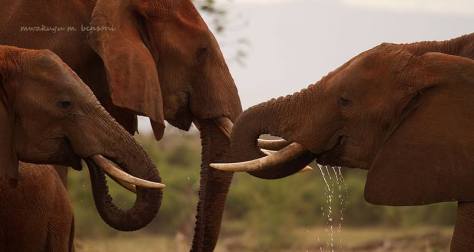 253332_10201255278124444_1477804029_n