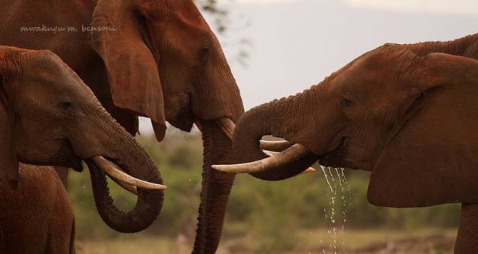 253332_10201255278124444_1477804029_n