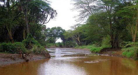 303940_4749973667721_1699042655_n