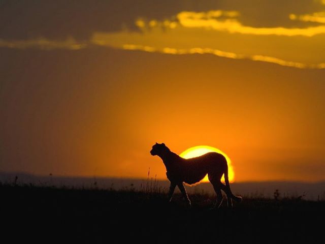 305039_470538536313855_1960677962_n