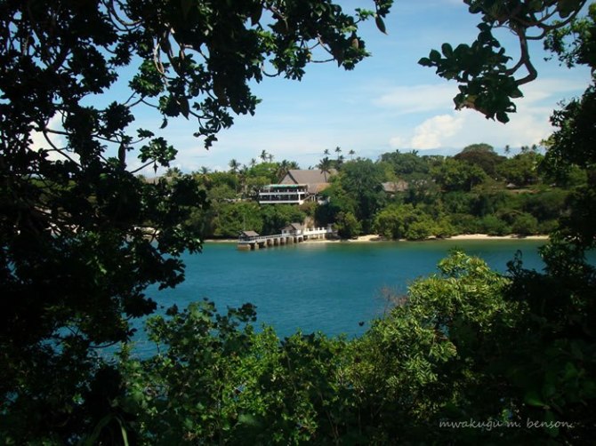 310922_10201136660799085_187777654_n