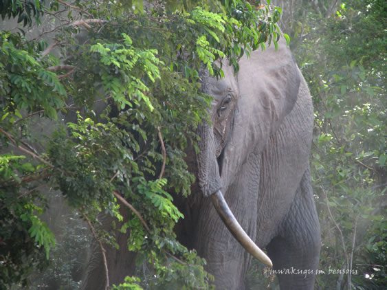 385958_10200799538411236_1961243185_n