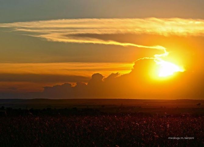 392449_4667562487493_1733711766_n