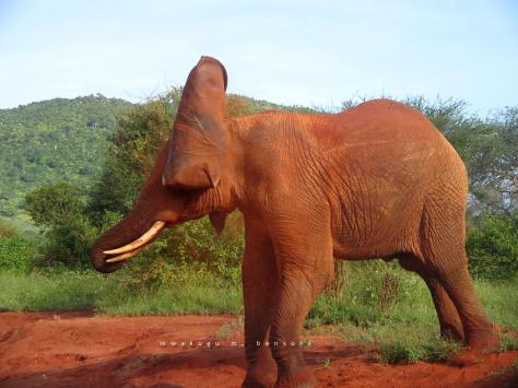 403005_10200179886160317_9455908_n