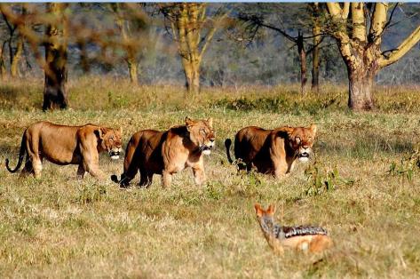 408563_10200433656424415_1954633953_n