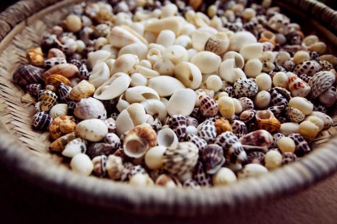 480885_371957426188884_832609401_n