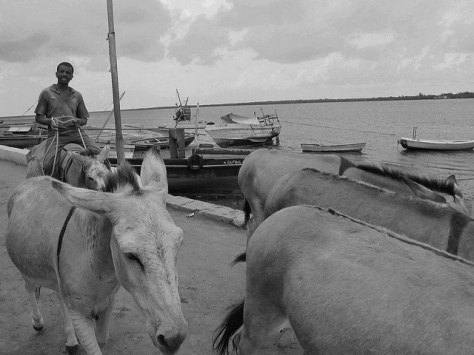 5197881463_2c3d4a0ec2_z