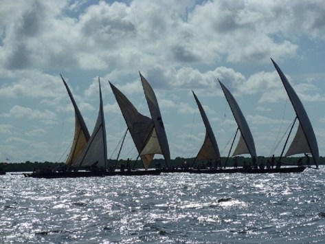 536722_461173713933921_2075844870_n