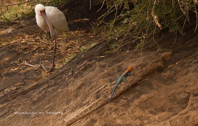 577973_10200920303790295_568777176_n