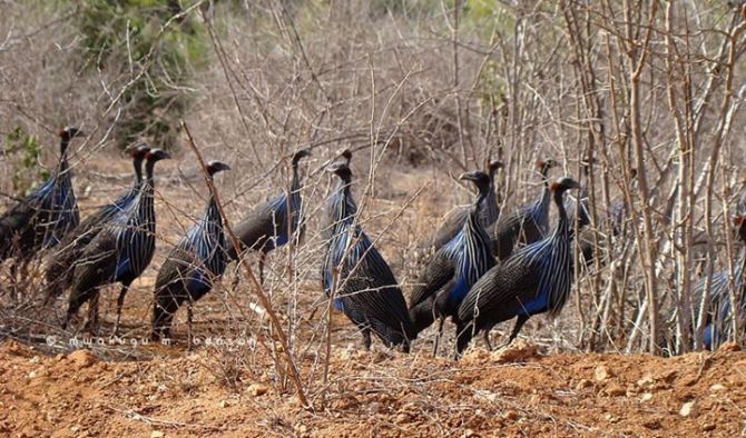 579401_4819505125964_1591450089_n