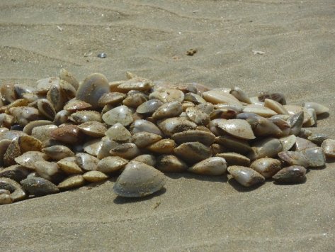 599691_417206901663936_1763351542_n