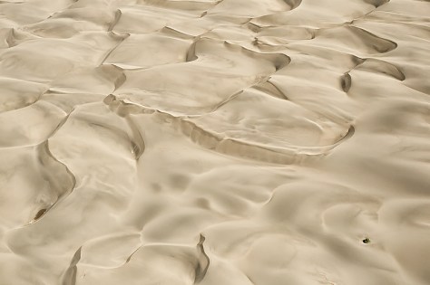 7.-Small-Date-Palm-clump-among-sand-dunes-aerial-shot-Seguta-Valley-Kenya