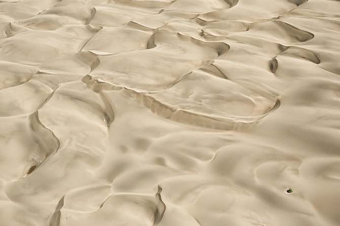 7.-Small-Date-Palm-clump-among-sand-dunes-aerial-shot-Seguta-Valley-Kenya