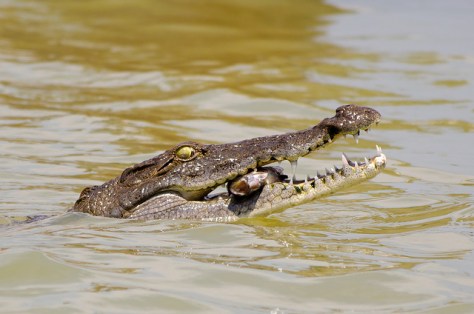 7662967866_34bdfd5b89_z