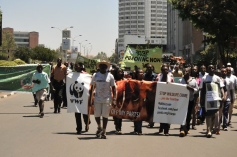 elephant_campaign_nairobi_ke