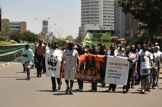 elephant_campaign_nairobi_ke