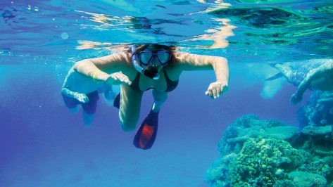 LIB_SHU_12_F567_RF_c52a190ea519cb455bc18d9416828f85be36d93f