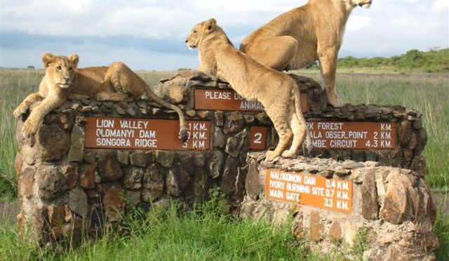 19 Reasons Kenya Needs to Be Higher on Your Bucket List