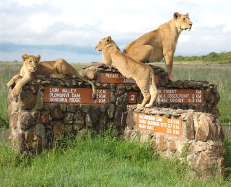 nairobi-park