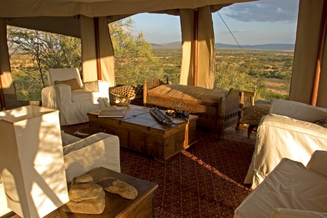 Olseki Libray interior