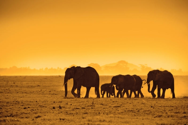 'The_Very_Best_of_Kenya'_Rondreis6809-17076