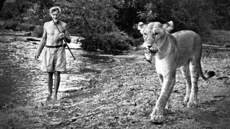 George Adamson