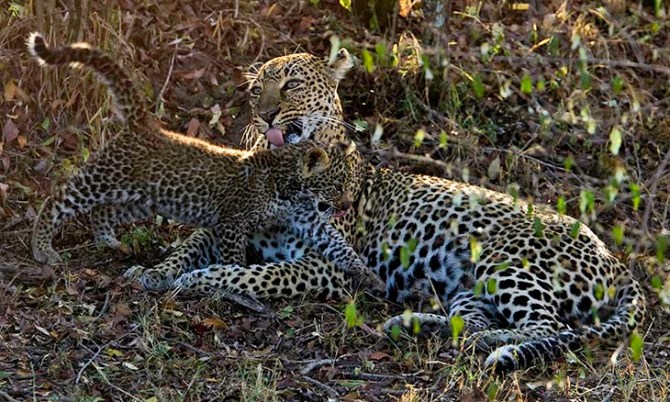 091006-133231-_R8K1272