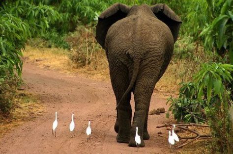 1239701_10202223080558900_247263196_n