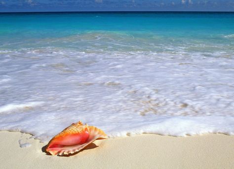Beachside Treasure, Yucatan Peninsula, Mexico