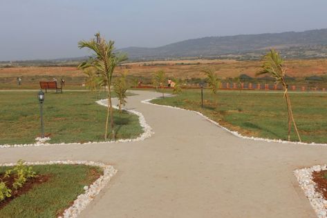 1523215_277212742428341_96255925_o