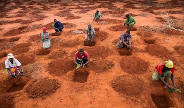 Why Wildlife Works: The Kasigau Corridor REDD+ Project