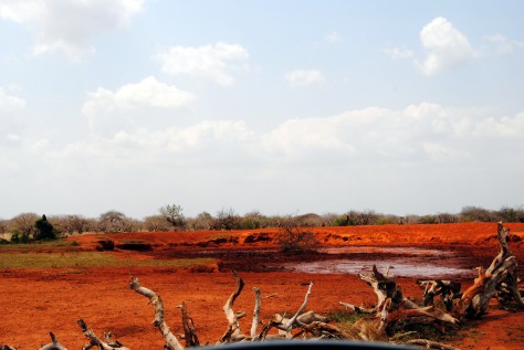 zurukenya african village camp
