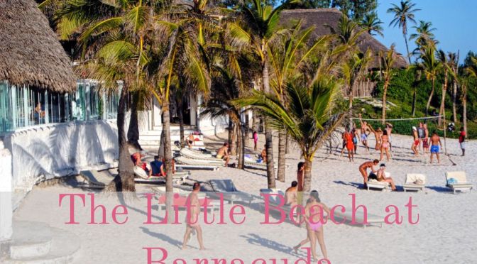 The Little Beach at Barracuda