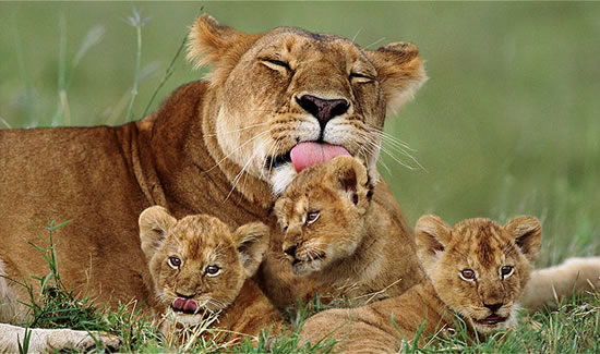 WhatsApp Image 2019-09-03 at 11.06.20