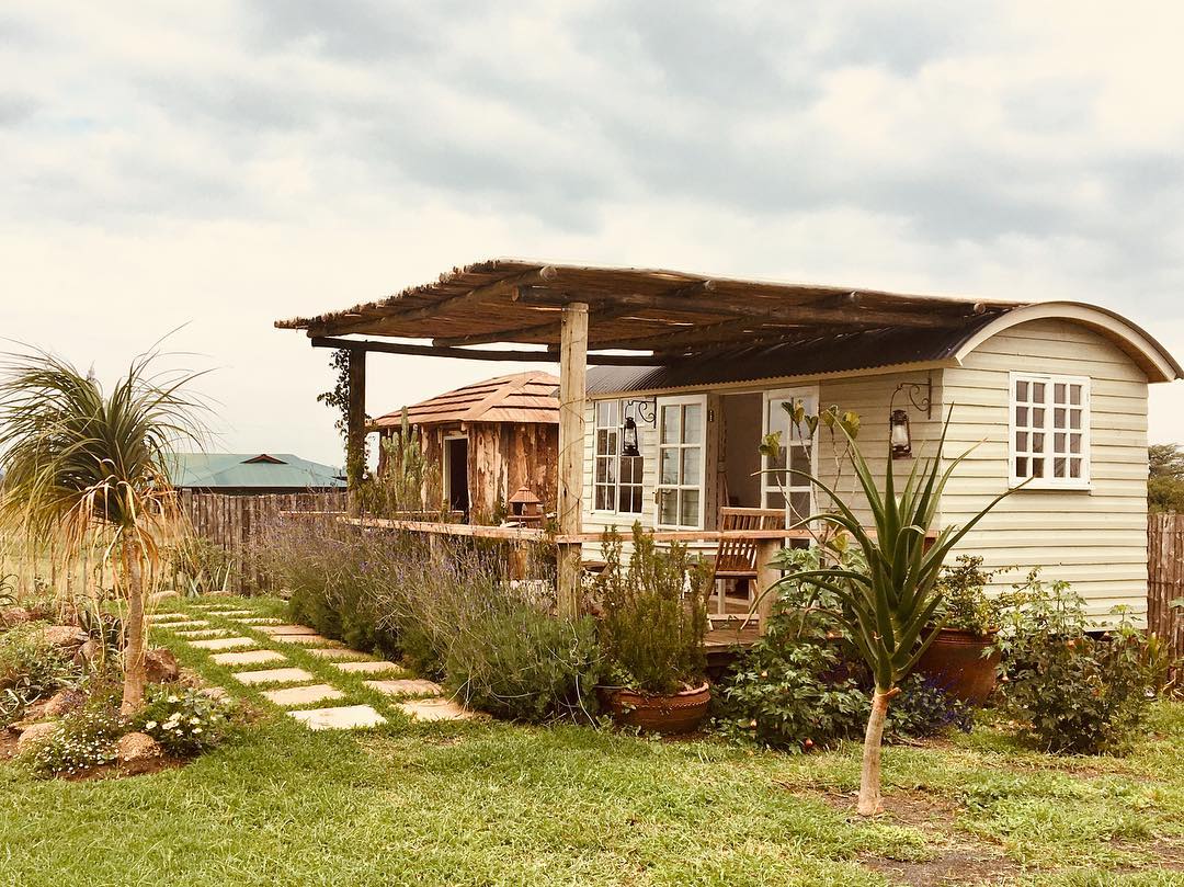 29401636_558678931183948_1694068546176286720_n