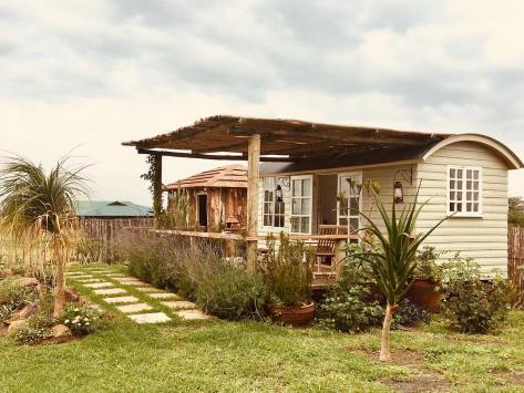 29401636_558678931183948_1694068546176286720_n