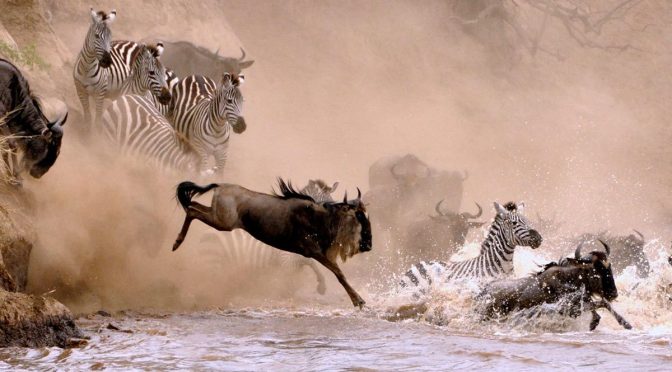 Kenya’s Top Attraction Sites