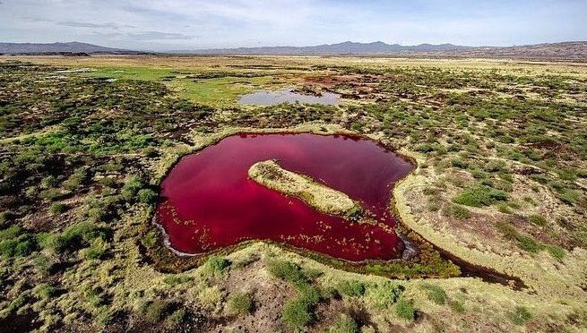 Lake Kapedo: Kenya’s Mysterious Blood-Red Alkaline Lake